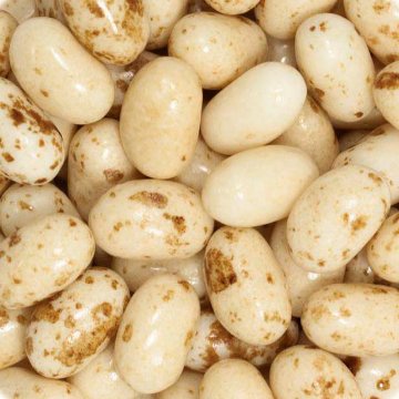 Picture of Jelly Belly Toasted Marshmallow Jelly Bean in 1kg bag - Pre Order