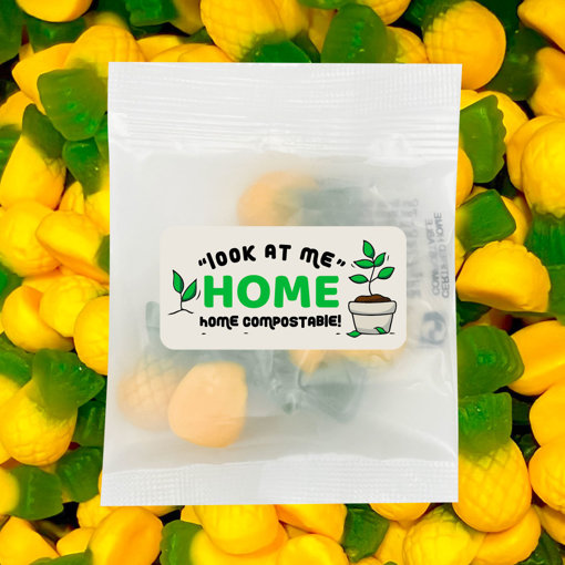 Picture of ECO Allens Pineapples 30g